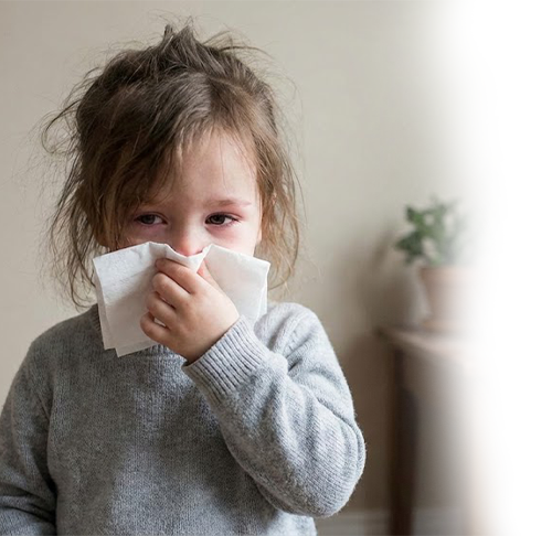 Air Ducts Cleaners Spring TX